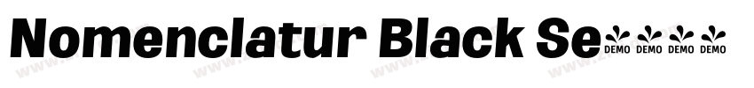 Nomenclatur Black Se字体转换